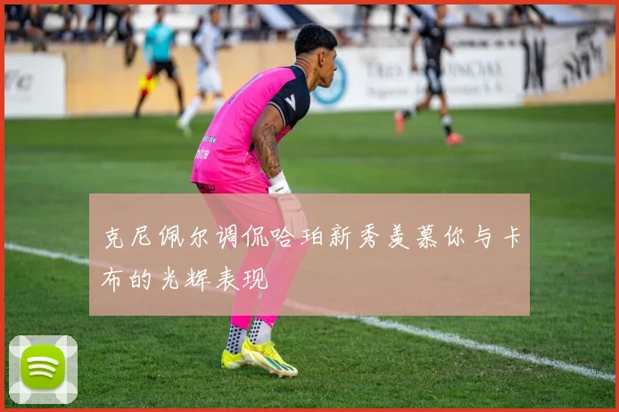 克尼佩尔调侃哈珀新秀羡慕你与卡布的光辉表现