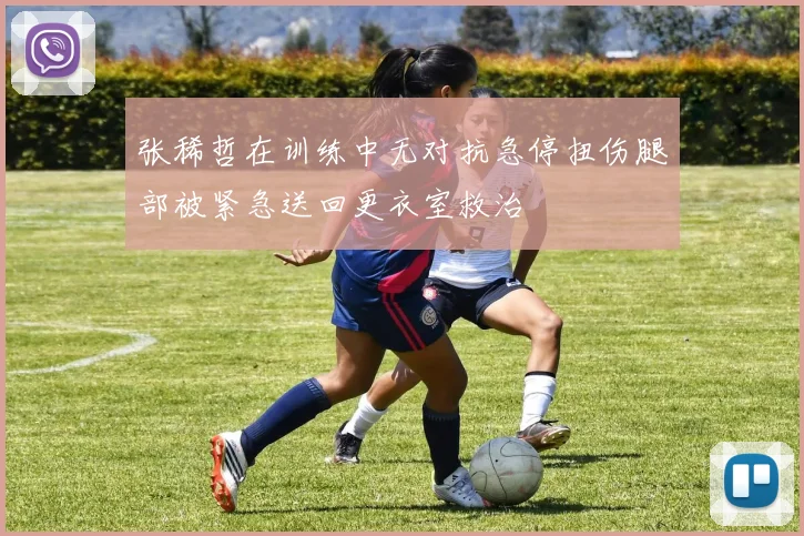 张稀哲在训练中无对抗急停扭伤腿部被紧急送回更衣室救治
